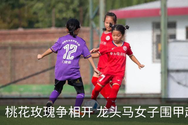 桃花玫瑰争相开 龙头马女子围甲赴风雅之约